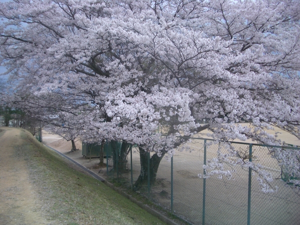 f0088647_1644060.jpg