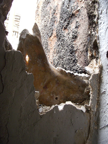 b0069848_601477.jpg