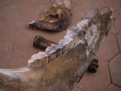 b0069848_624739.jpg