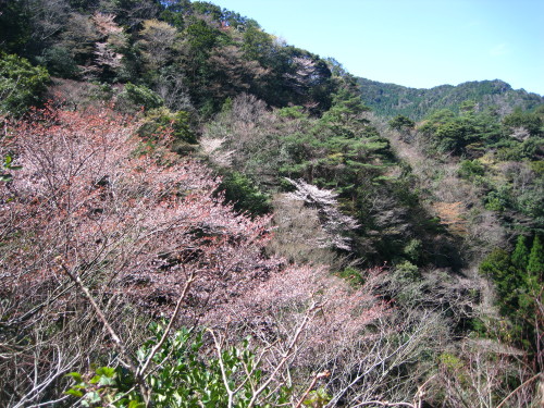 c0179351_1751875.jpg