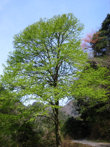 c0179351_18131964.jpg