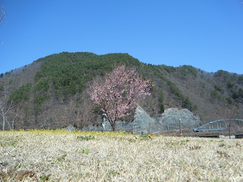 b0100253_1338957.jpg