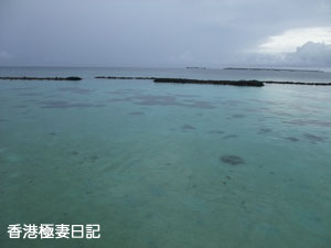 f0190653_8454767.jpg