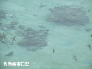 f0190653_845794.jpg