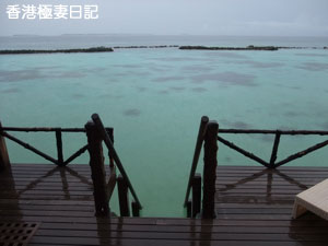 f0190653_846127.jpg