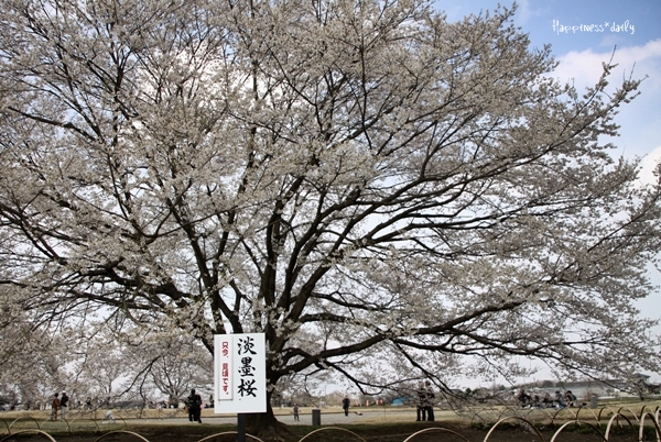 a0150957_11594150.jpg