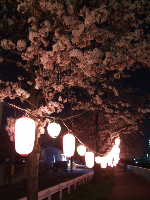 f0203260_12353080.jpg