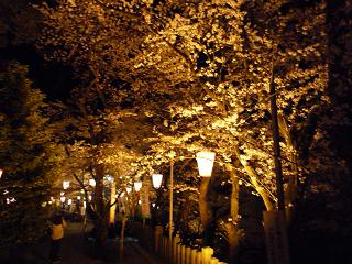 f0221360_20391072.jpg