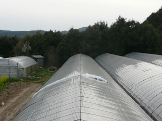 f0055264_21341734.jpg