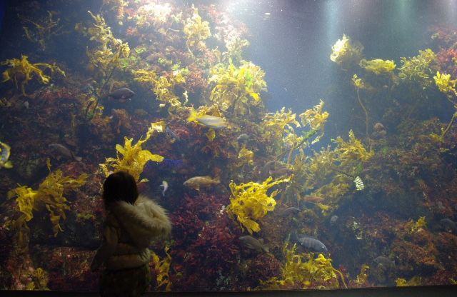 c0187166_0592280.jpg