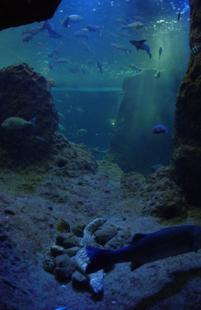c0187166_11222.jpg