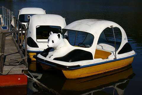 e0045768_2220131.jpg