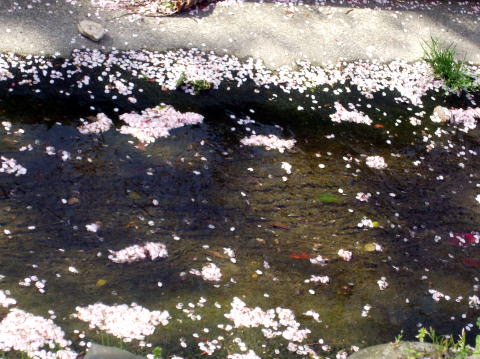 e0161972_17262497.jpg