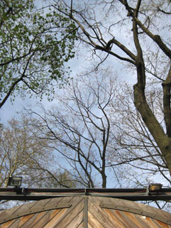 f0056476_802560.jpg