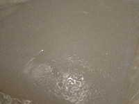 f0199081_1541912.jpg