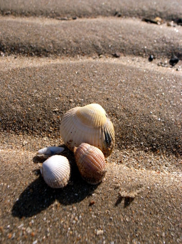 b0121884_9355299.jpg
