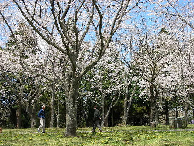 c0214384_17502893.jpg
