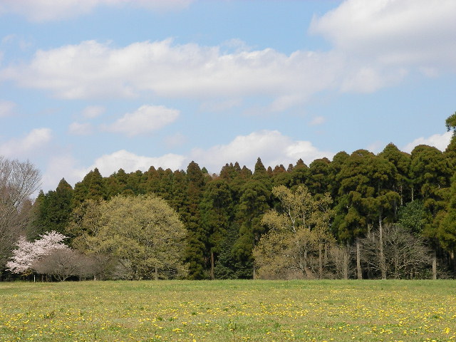 c0214384_1828156.jpg