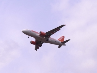 f0169885_2511589.jpg