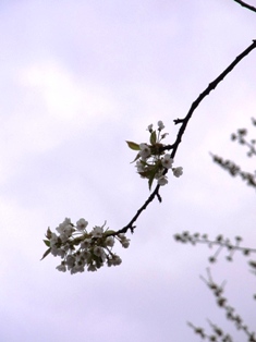 f0169885_2533962.jpg