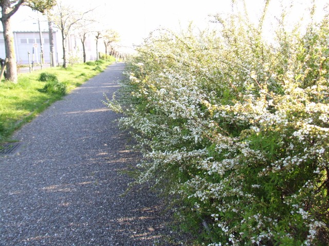 f0104487_20121988.jpg