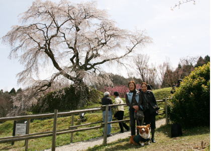 f0085889_134118.jpg