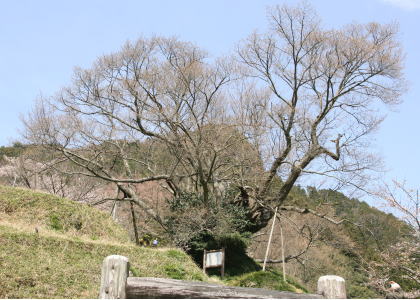 f0085889_13514364.jpg