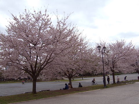 b0104592_17135795.jpg