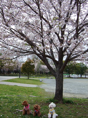 b0104592_17183019.jpg