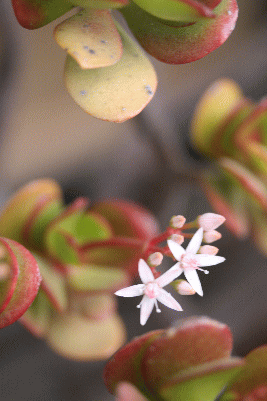 d0100192_19222279.gif