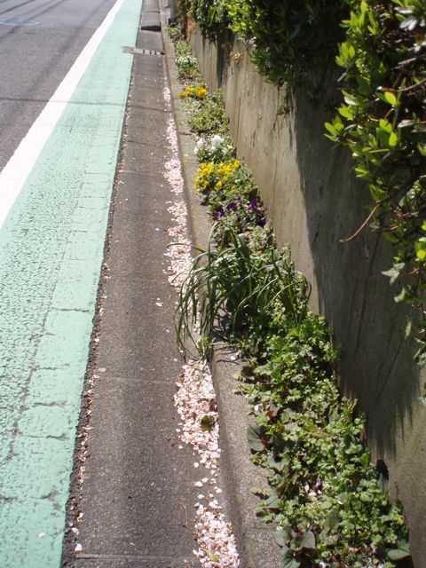 f0130894_22163449.jpg