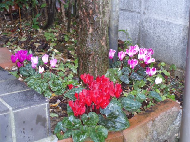 f0130894_222415100.jpg