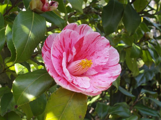 f0130894_22251252.jpg