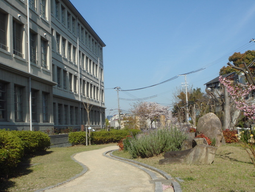 f0013998_19532230.jpg