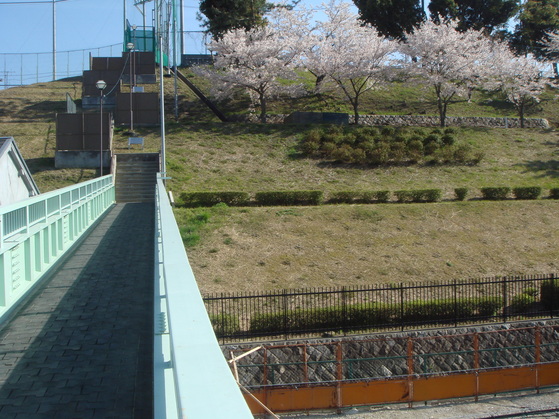 f0013998_1953411.jpg