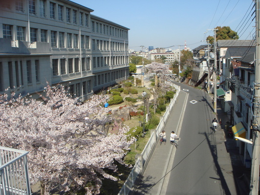 f0013998_19561841.jpg