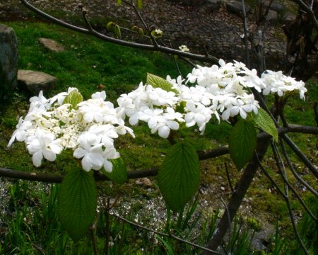 a0031000_21354293.jpg