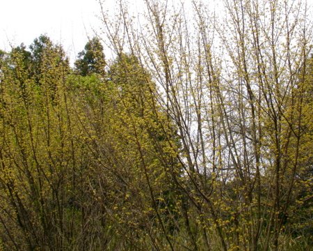 a0031000_21371820.jpg