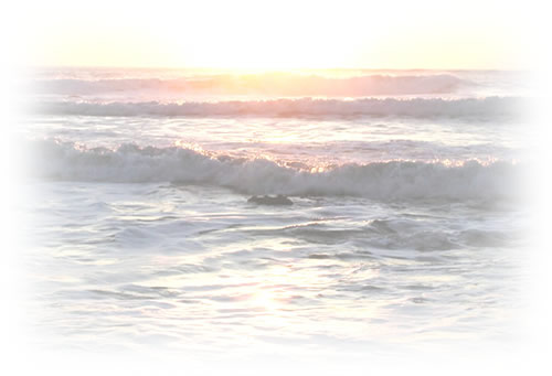 c0074000_233187.jpg
