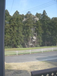 e0033301_23124480.jpg