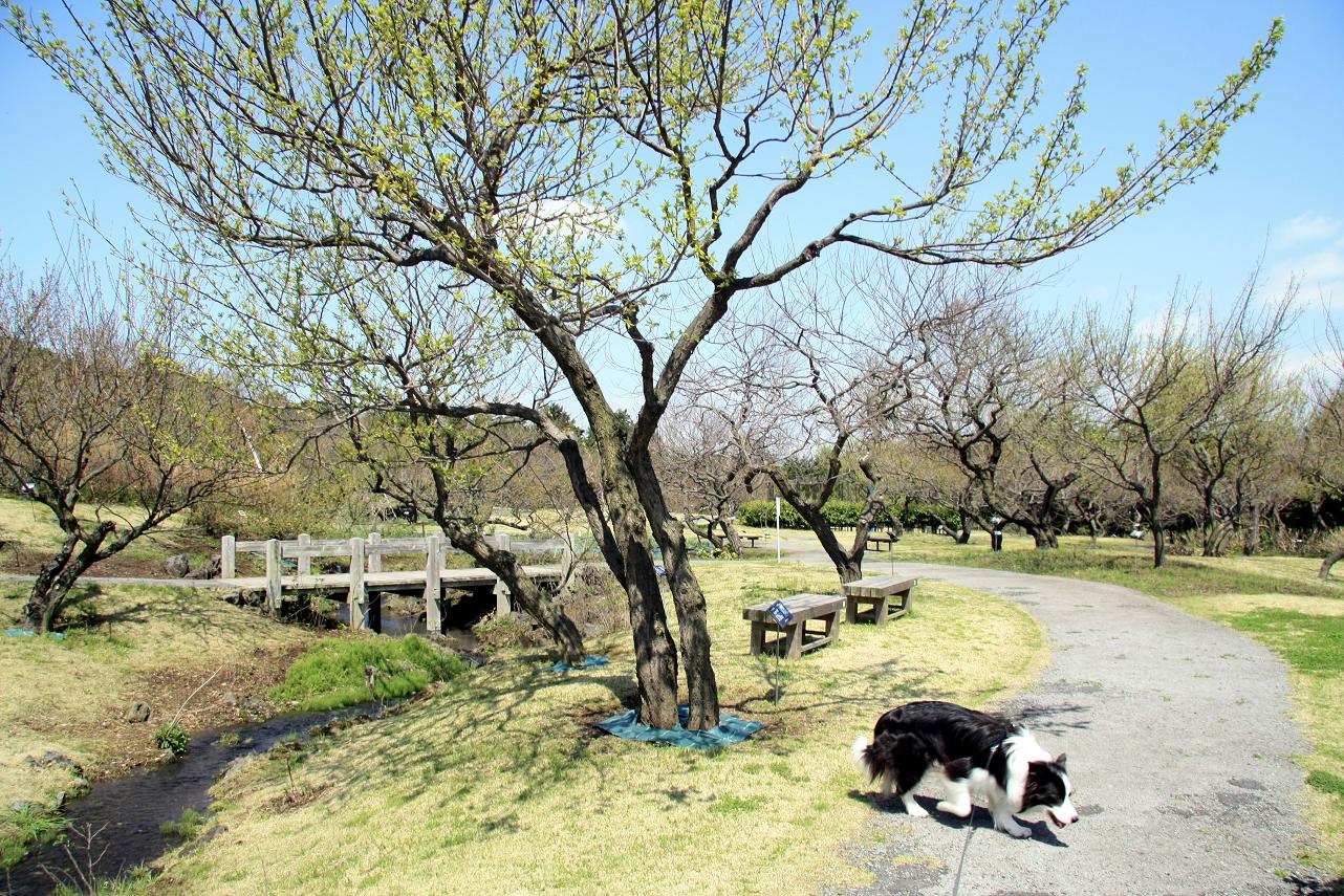 f0034602_10451990.jpg