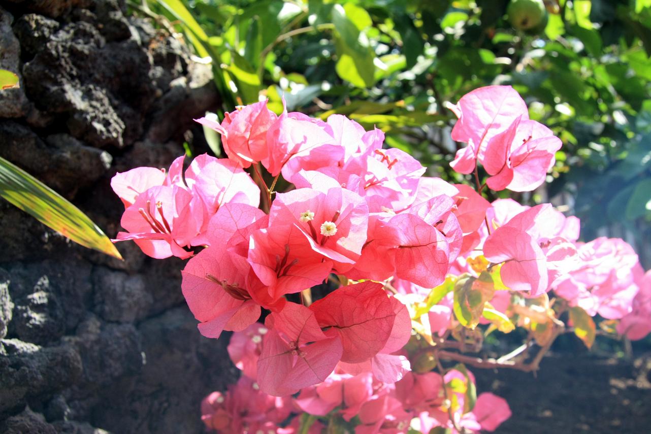 f0034602_10485013.jpg