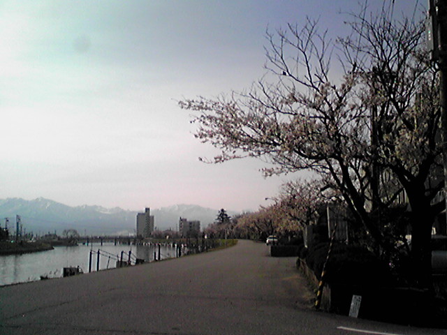 f0079202_20333282.jpg