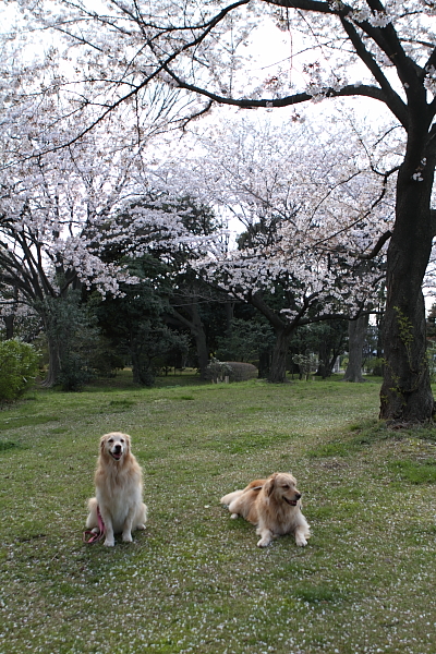 e0117503_1273021.jpg