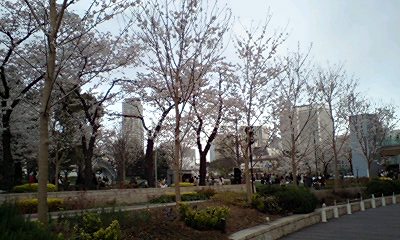 d0054704_0183646.jpg