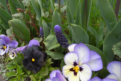 f0065604_20102819.jpg