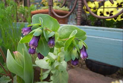 f0065604_20104359.jpg