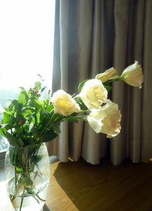 c0148705_17424367.jpg