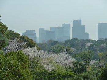 c0216805_10574462.jpg