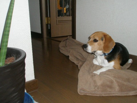 c0205806_17305151.jpg